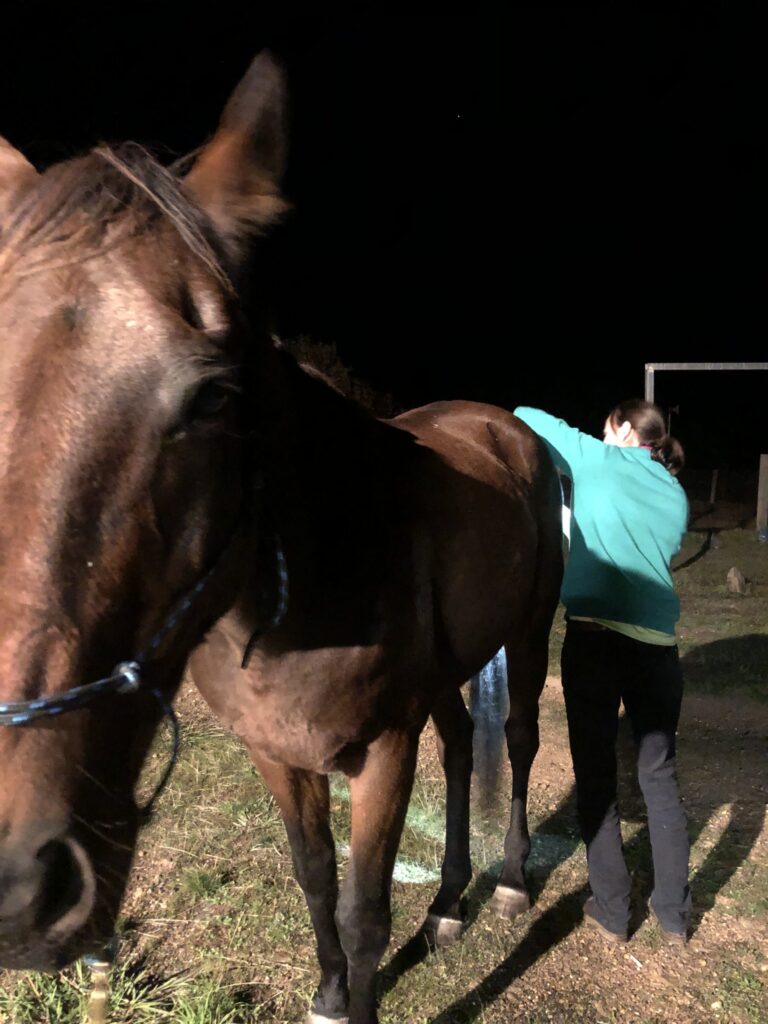 tracky-colic